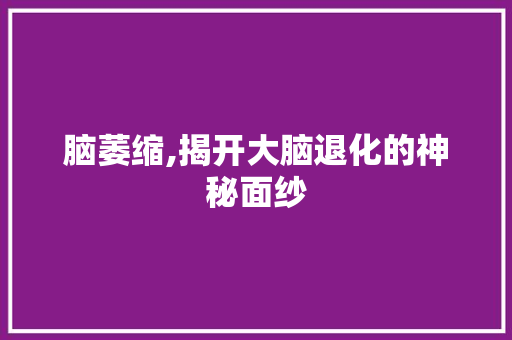 脑萎缩,揭开大脑退化的神秘面纱 神马SEO