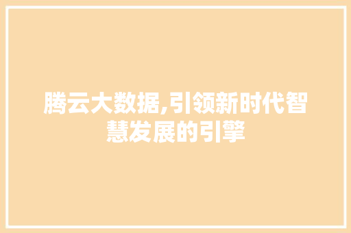 腾云大数据,引领新时代智慧发展的引擎 必应SEO