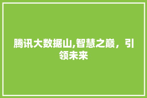 腾讯大数据山,智慧之巅，引领未来 必应SEO