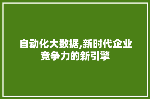 自动化大数据,新时代企业竞争力的新引擎 神马SEO