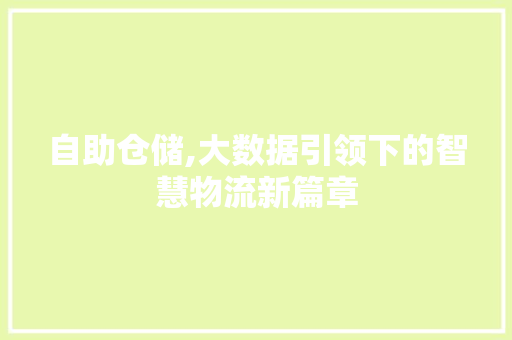 自助仓储,大数据引领下的智慧物流新篇章 必应SEO