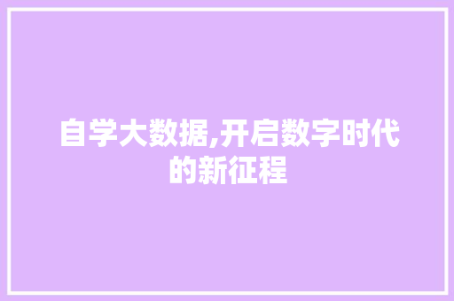 自学大数据,开启数字时代的新征程 必应SEO