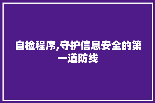 自检程序,守护信息安全的第一道防线 GoogleSEO