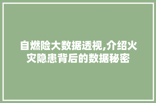 自燃险大数据透视,介绍火灾隐患背后的数据秘密