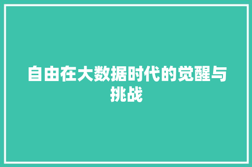 自由在大数据时代的觉醒与挑战 百度SEO