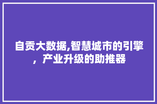 自贡大数据,智慧城市的引擎，产业升级的助推器 神马SEO