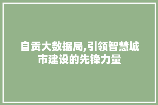 自贡大数据局,引领智慧城市建设的先锋力量 搜狗SEO