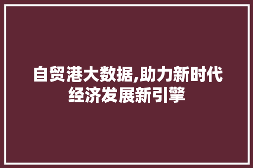 自贸港大数据,助力新时代经济发展新引擎 神马SEO
