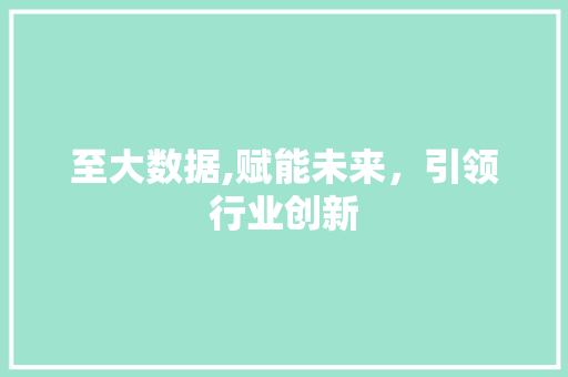至大数据,赋能未来，引领行业创新 神马SEO