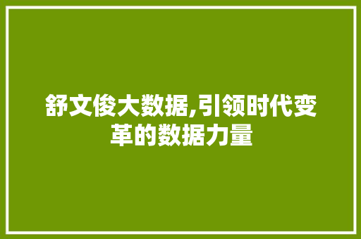 舒文俊大数据,引领时代变革的数据力量 必应SEO