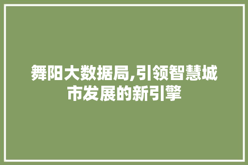 舞阳大数据局,引领智慧城市发展的新引擎 搜狗SEO