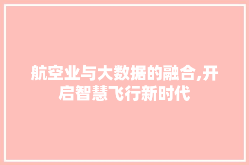 航空业与大数据的融合,开启智慧飞行新时代 百度SEO