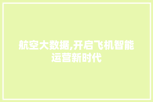 航空大数据,开启飞机智能运营新时代 必应SEO