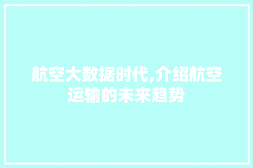 航空大数据时代,介绍航空运输的未来趋势 GoogleSEO