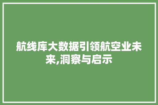 航线库大数据引领航空业未来,洞察与启示 百度SEO