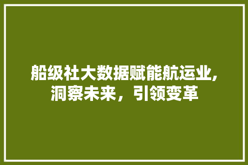 船级社大数据赋能航运业,洞察未来，引领变革 必应SEO