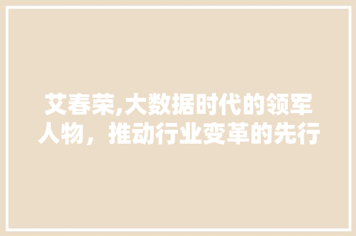 艾春荣,大数据时代的领军人物，推动行业变革的先行者 必应SEO