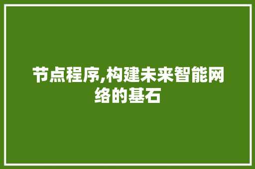 节点程序,构建未来智能网络的基石 百度SEO