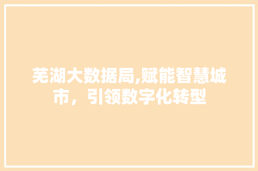芜湖大数据局,赋能智慧城市，引领数字化转型 必应SEO