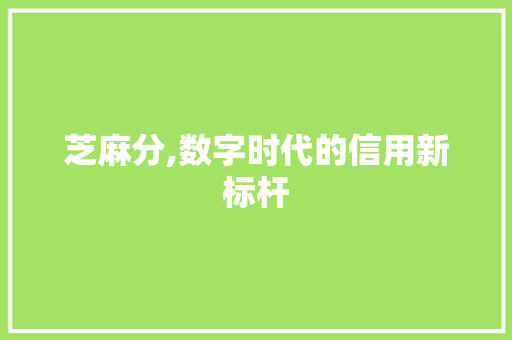 芝麻分,数字时代的信用新标杆 GoogleSEO