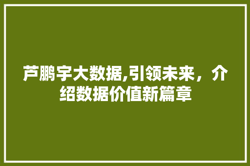 芦鹏宇大数据,引领未来，介绍数据价值新篇章 搜狗SEO