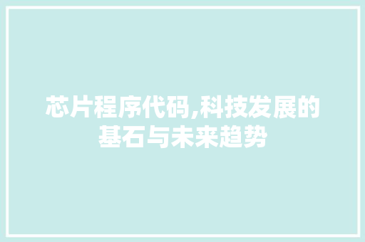 芯片程序代码,科技发展的基石与未来趋势 神马SEO