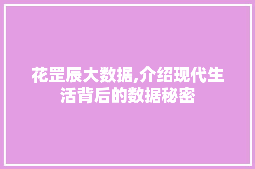 花罡辰大数据,介绍现代生活背后的数据秘密 神马SEO