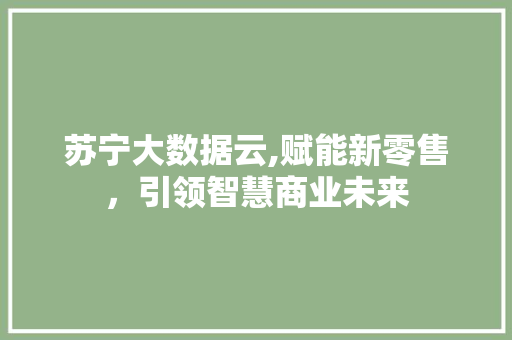 苏宁大数据云,赋能新零售，引领智慧商业未来 搜狗SEO