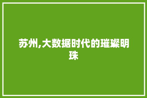 苏州,大数据时代的璀璨明珠 必应SEO