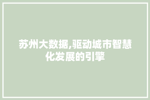 苏州大数据,驱动城市智慧化发展的引擎 神马SEO