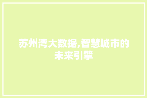 苏州湾大数据,智慧城市的未来引擎 GoogleSEO