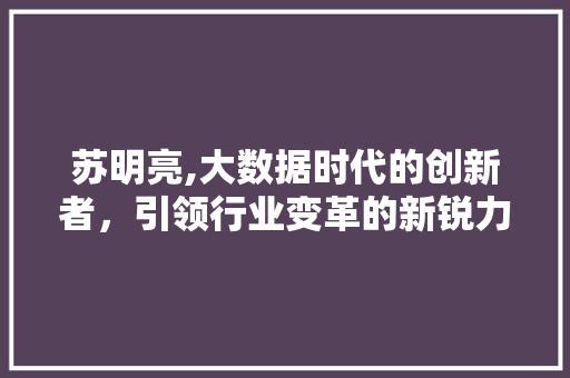 苏明亮,大数据时代的创新者，引领行业变革的新锐力量 GoogleSEO