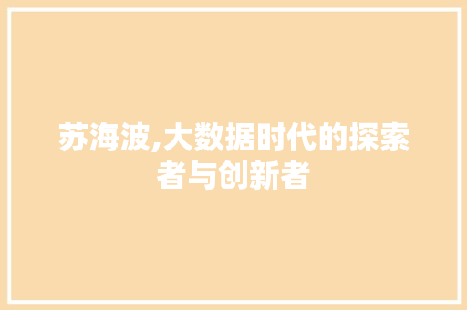 苏海波,大数据时代的探索者与创新者 GoogleSEO 苏海波,大数据时代的探索者与创新者 GoogleSEO