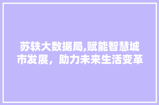 苏轶大数据局,赋能智慧城市发展,助力未来生活变革 GoogleSEO 苏轶大数据局,赋能智慧城市发展,助力未来生活变革 GoogleSEO
