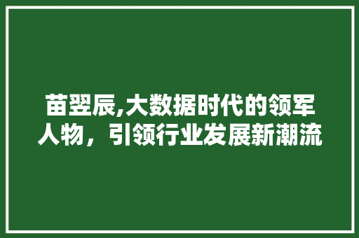 苗翌辰,大数据时代的领军人物，引领行业发展新潮流 必应SEO