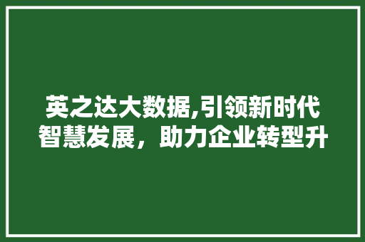 英之达大数据,引领新时代智慧发展，助力企业转型升级 神马SEO