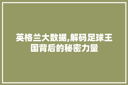 英格兰大数据,解码足球王国背后的秘密力量 GoogleSEO