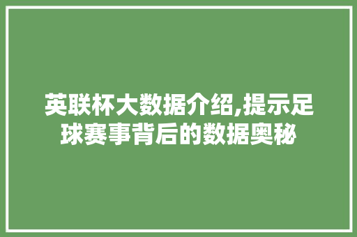 英联杯大数据介绍,提示足球赛事背后的数据奥秘 GoogleSEO