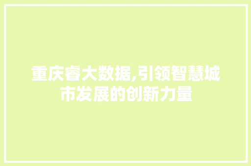 重庆睿大数据,引领智慧城市发展的创新力量 GoogleSEO