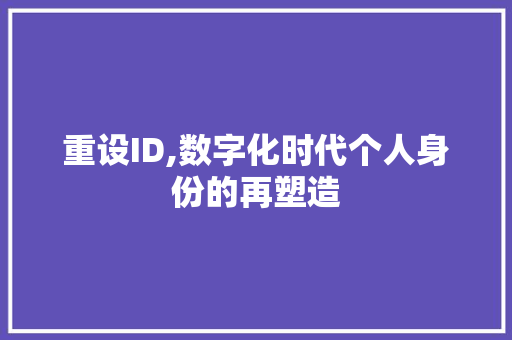 重设ID,数字化时代个人身份的再塑造 必应SEO