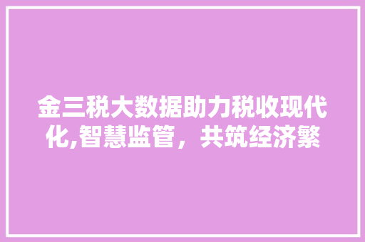 金三税大数据助力税收现代化,智慧监管，共筑经济繁荣 神马SEO