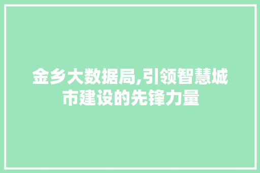 金乡大数据局,引领智慧城市建设的先锋力量