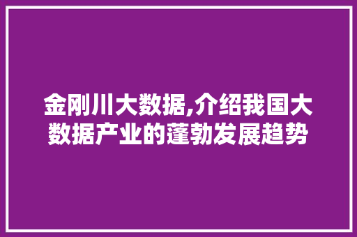 金刚川大数据,介绍我国大数据产业的蓬勃发展趋势 必应SEO