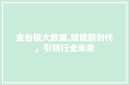 金台锐大数据,赋能新时代，引领行业未来 神马SEO