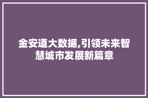 金安道大数据,引领未来智慧城市发展新篇章