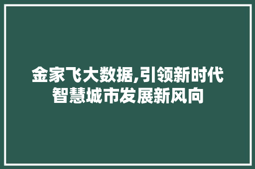 金家飞大数据,引领新时代智慧城市发展新风向 必应SEO
