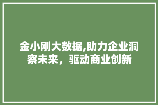 金小刚大数据,助力企业洞察未来，驱动商业创新