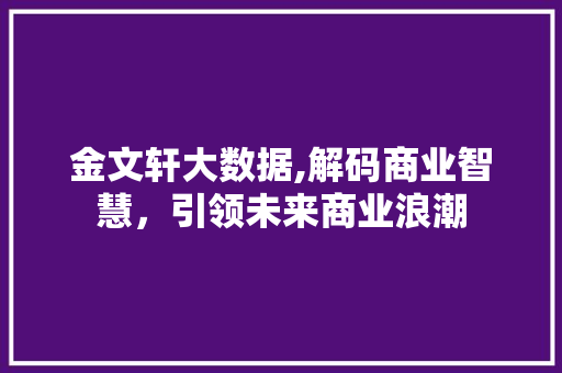 金文轩大数据,解码商业智慧，引领未来商业浪潮 必应SEO