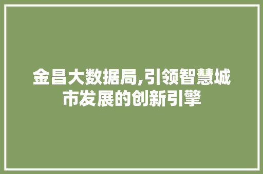 金昌大数据局,引领智慧城市发展的创新引擎 GoogleSEO