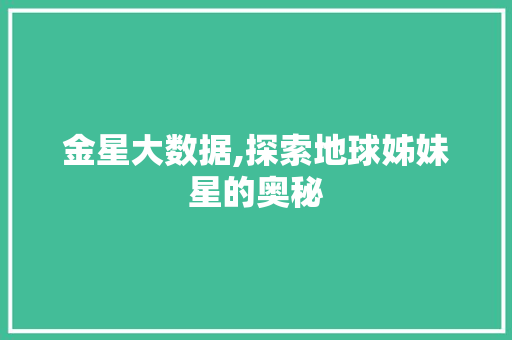 金星大数据,探索地球姊妹星的奥秘 GoogleSEO